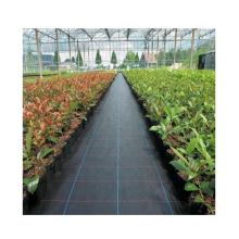 QUALITY agriculture garden ground cover 80gsm weed mat,Large PP PE Woven Plastic Weed / Grass Mat